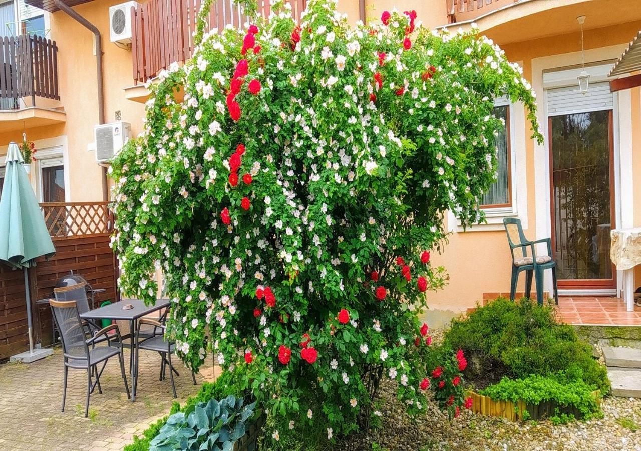 Hellasz Apartman Gyula Luaran gambar